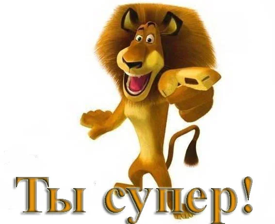 116476518.webp