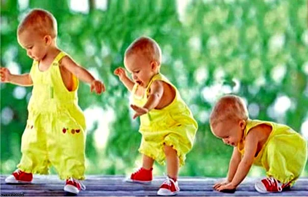 116964813_large_c392ebf15255ab9e4b116f880d8ed01f.webp