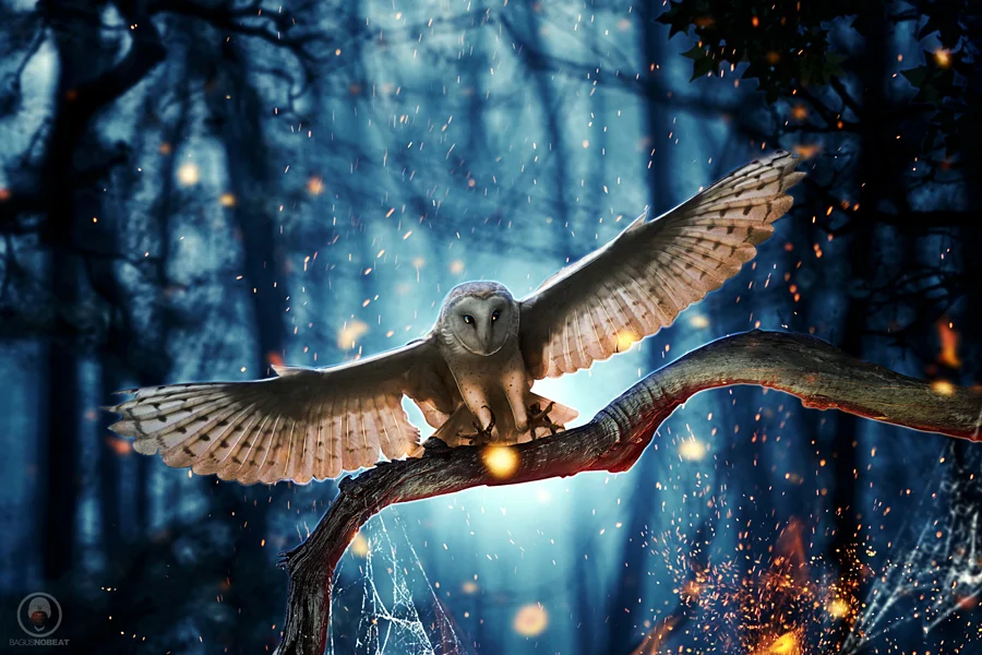 11708140707282218 (1).webp