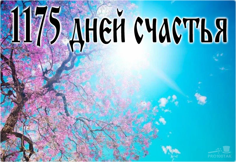 1175 небухал.webp