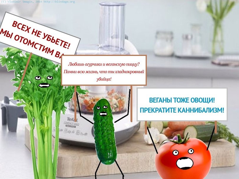 1186974.jpeg