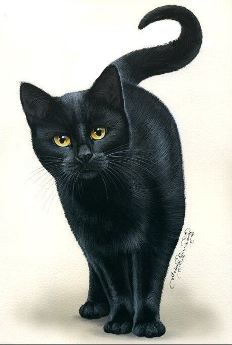 118c55fd6b59d6b024da5ba4db8150a6--black-cat-painting-black-cat-art.jpg