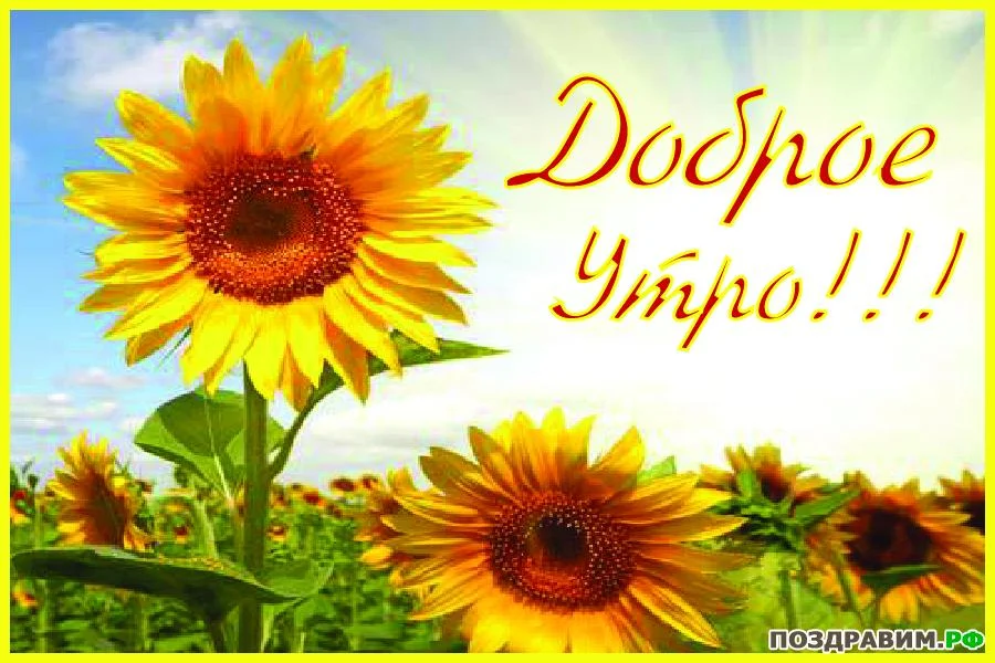11986908.webp