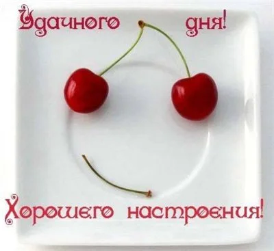 11e119c3575d.webp