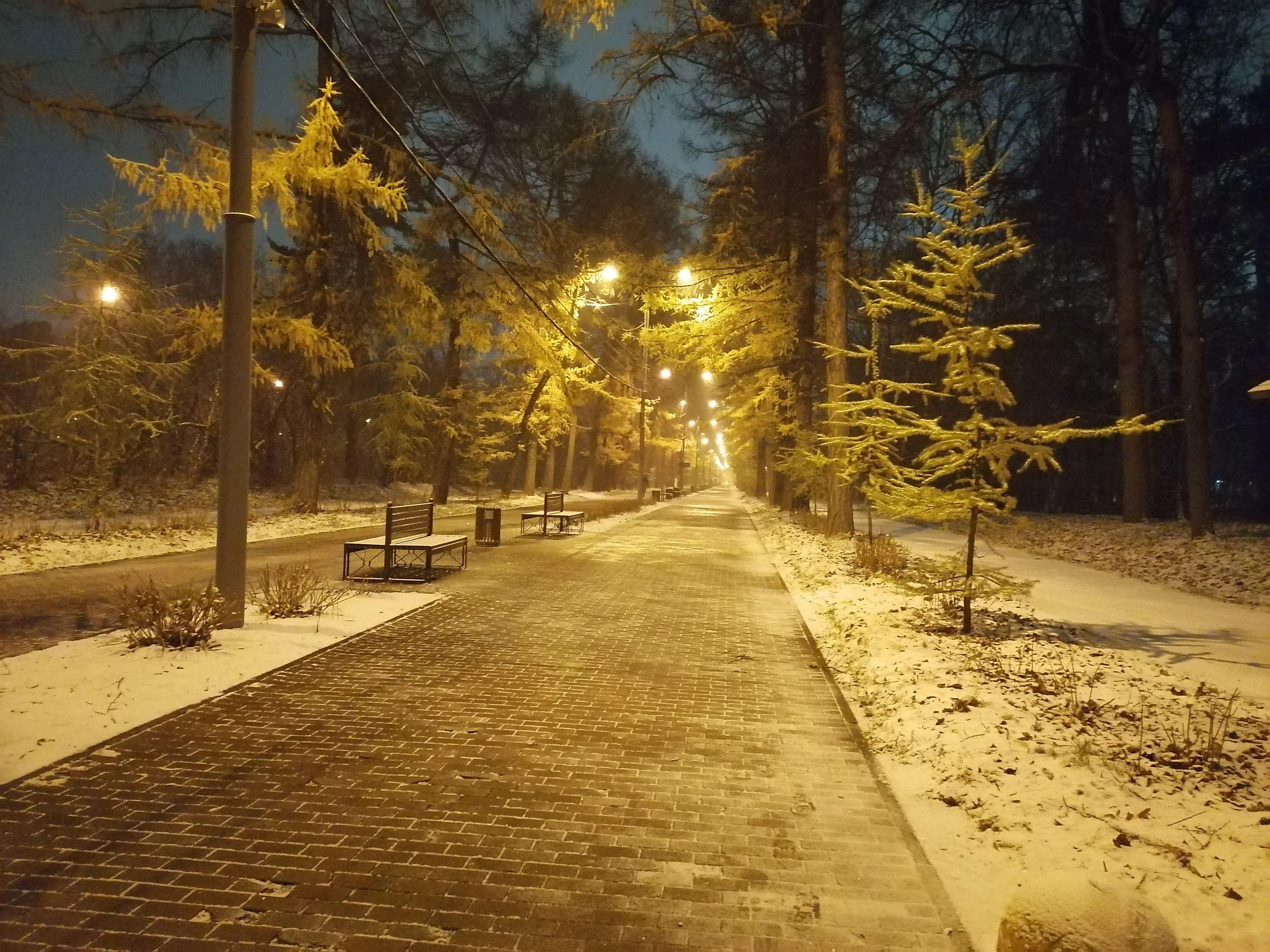 12 @1.Елена.jpg