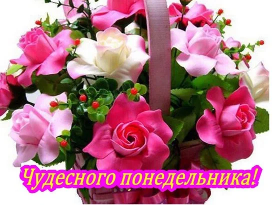 12.11 понедельник.webp