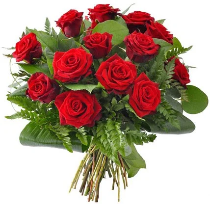 12-red-roses_1.webp