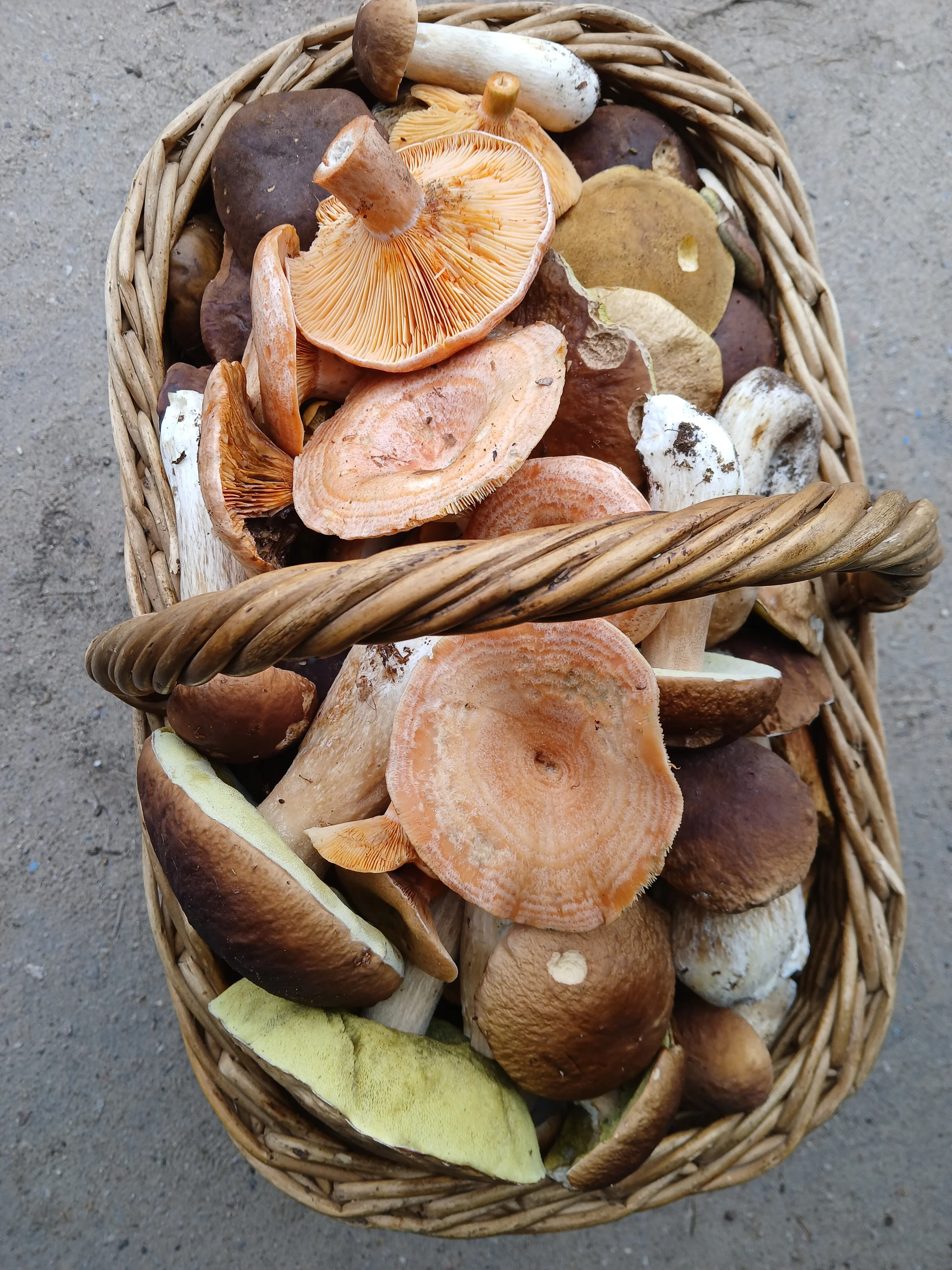 12.сентябрь 2025.webp