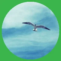 120.webp