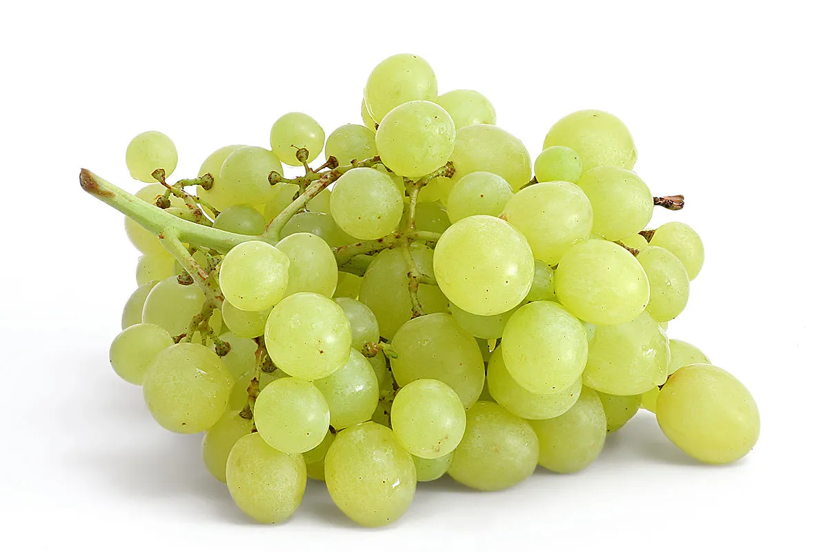1200px-Table_grapes_on_white.webp