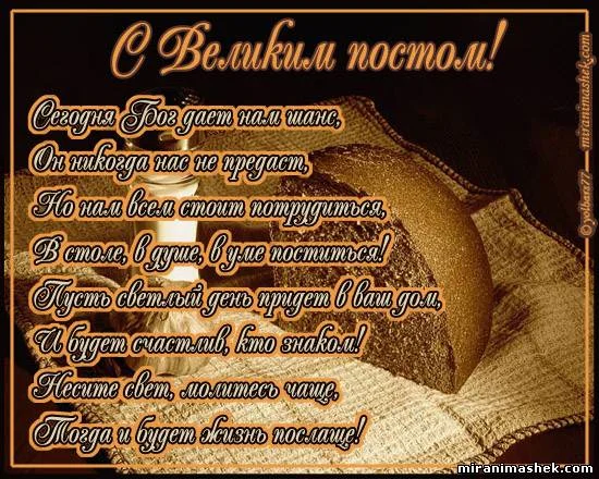12063663.webp
