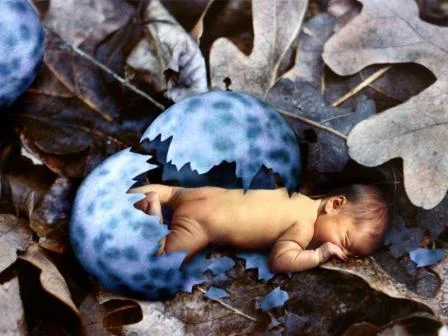 1206533251.image-bebe.webp