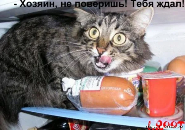 1207526678_koti_02.webp