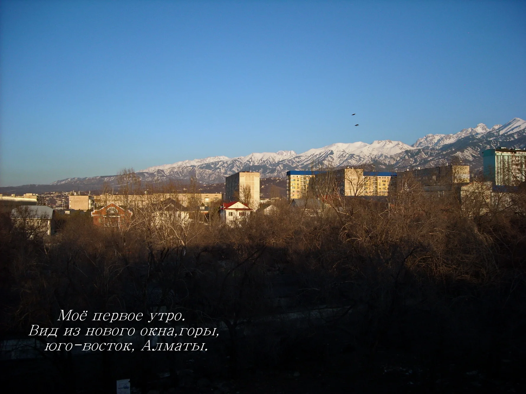121 Рассвет, вид утром..webp