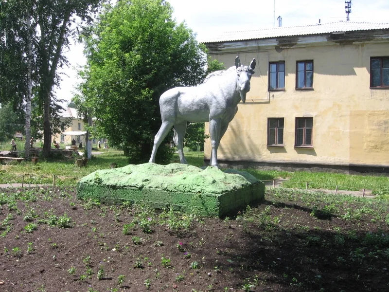 121764269130 (1).webp