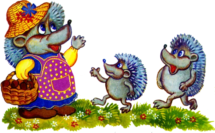 122246652_0_a5e32_661fc252_orig (1).webp