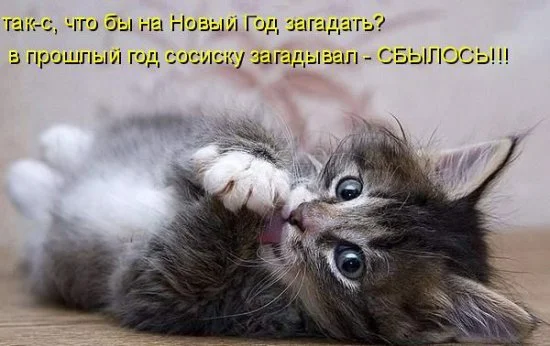 1229540347_33.webp