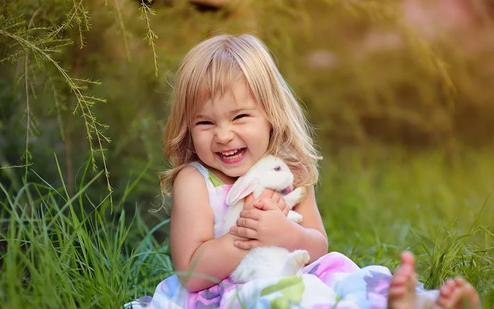 123.webp