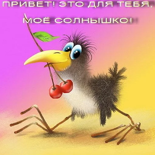 1233839032priveet.webp
