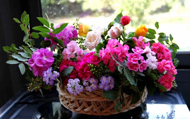 12345.webp