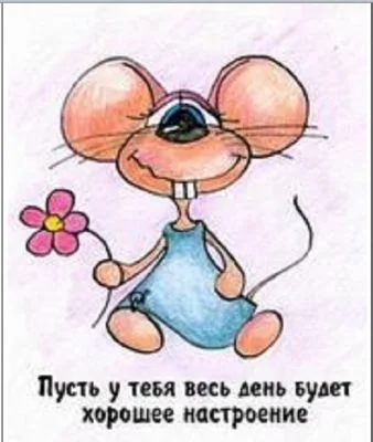 1237378752_ddd.webp