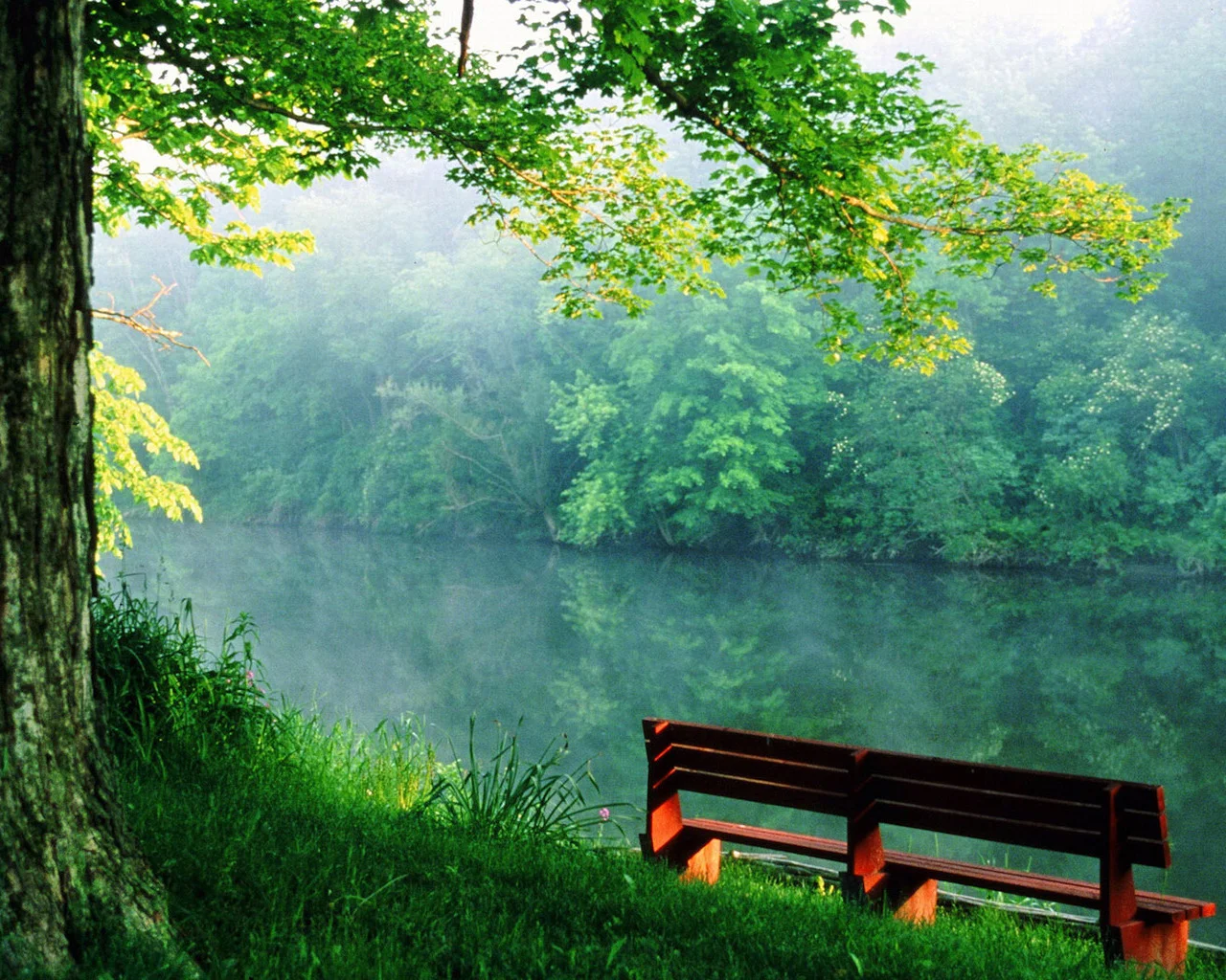 1239106447_fleroru_1.webp