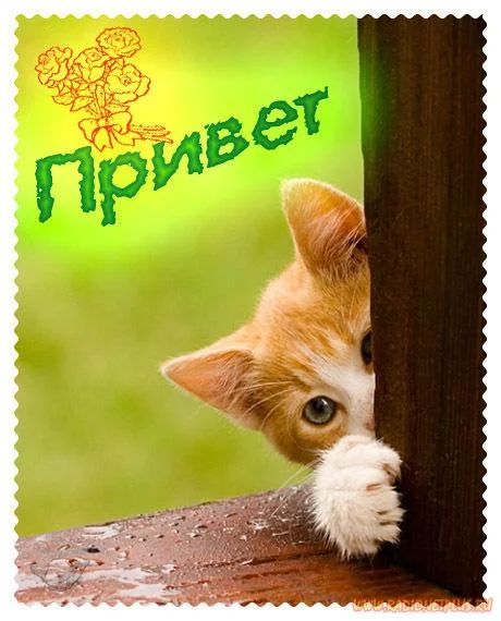 1240461301_3333.webp