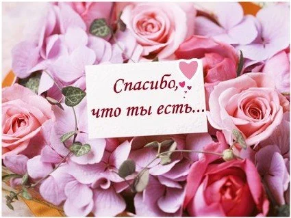 12420210.webp
