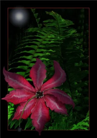 1246940655c06206beed8a paporotnik.webp