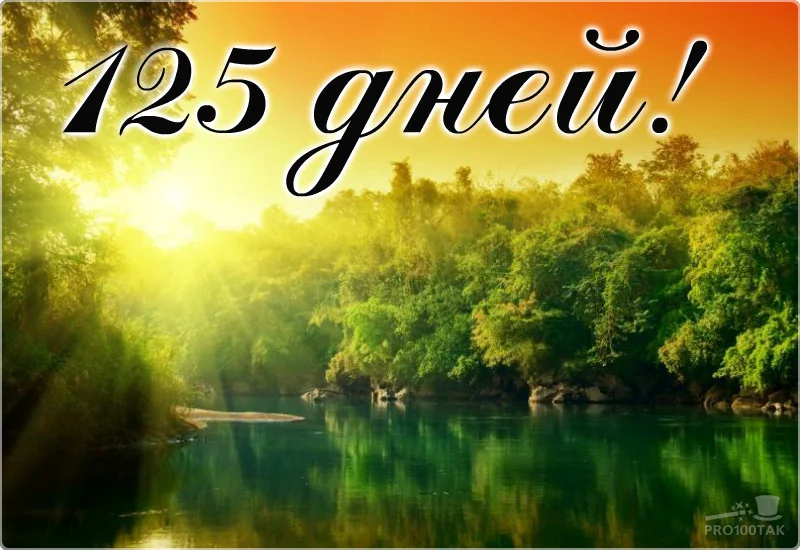 125 в лесу.webp