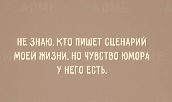 12504460-R3L8T8D-650-1-17.webp