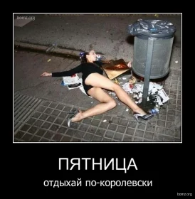 125379-2010.09.27-09.40.31-bomz.org-demotivator_pyatnica_otdiyhayi_po-korolevski.webp