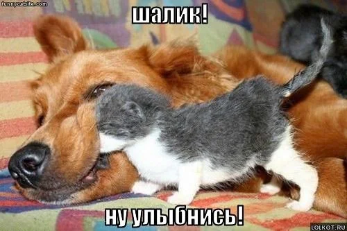 1254914074.webp