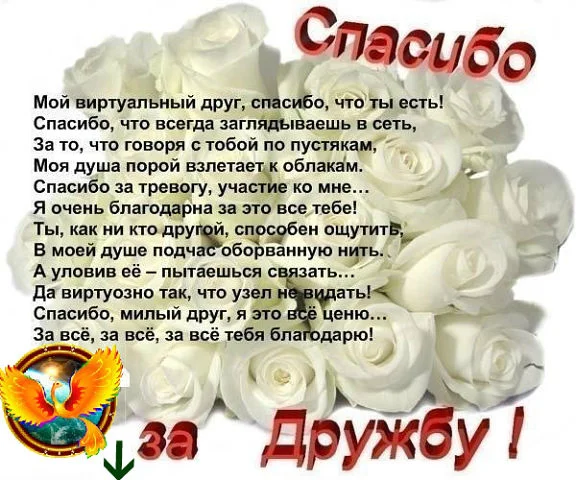 12561256.webp