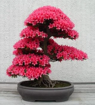 1256899724_037.webp