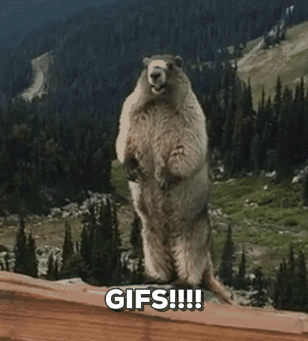 126.gif