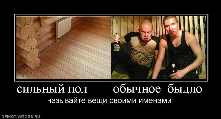 1263822661_7807_silnyij-pol-obyichnoe-byidlo.webp