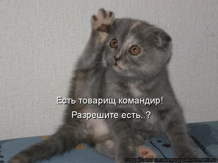 1263862295_461496 (1).webp