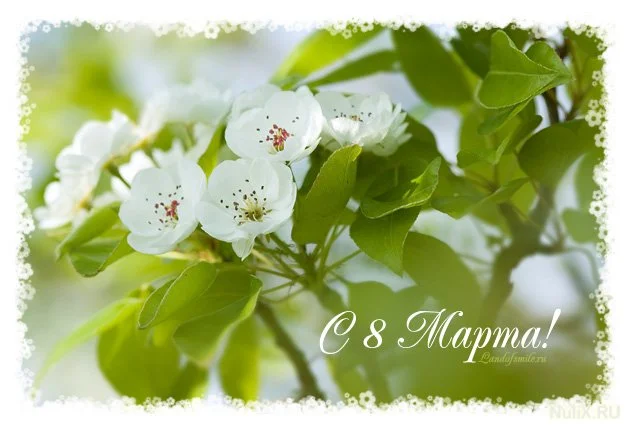 1265998629_spring-cards-25.webp