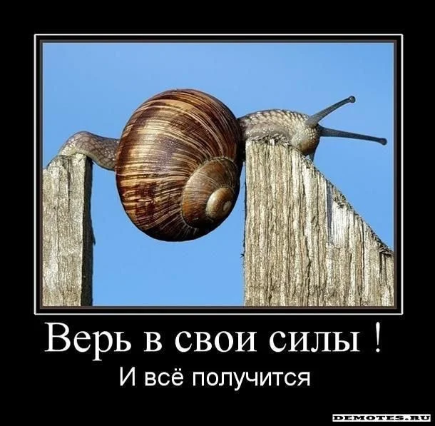 1268554572_1ver-v-svoi-silyi-.webp