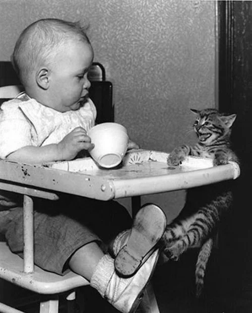 1269583566_ ф226.webp