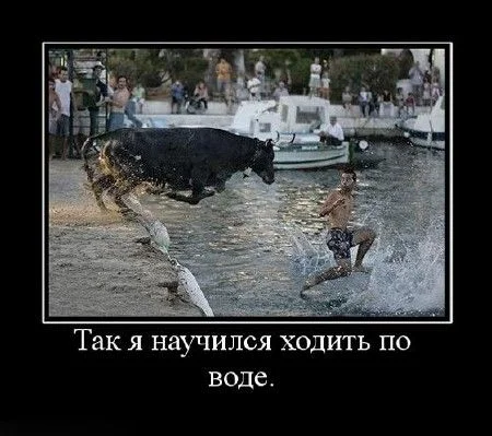 1271373288_5wyqel7xgacziq1.webp