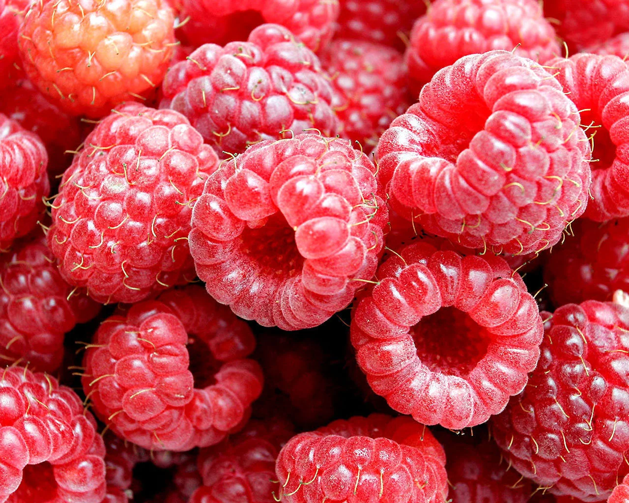 1272314191_raspberry-food-4178406-1280-1024.webp