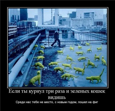 1276235638_1.webp
