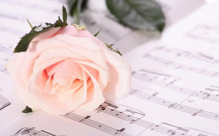 1280233660_rose_007018.webp