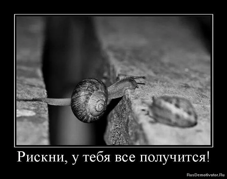1280827579_683859_riskni-u-tebya-vse-poluchitsya.webp