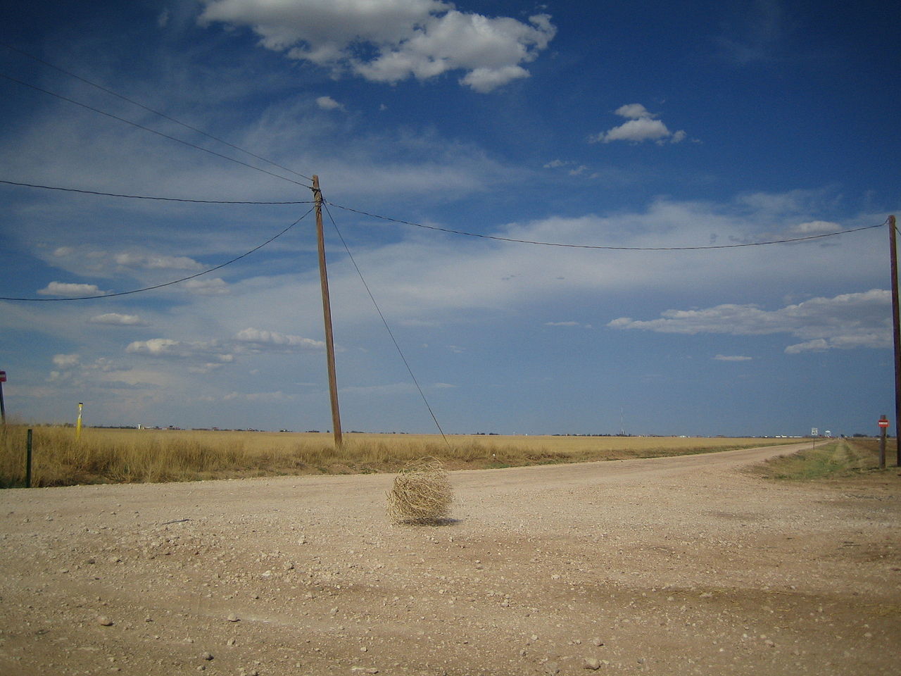 1280px-Tumbleweed_rolling.jpg