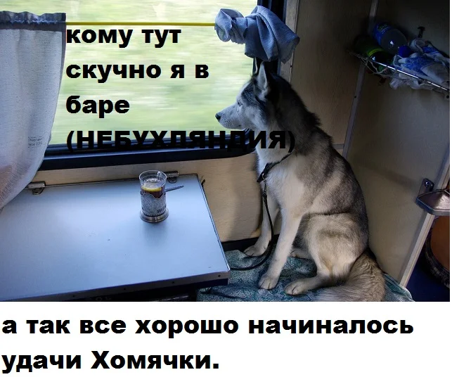 12856286785761459c1eaa05.52221330 (1).webp