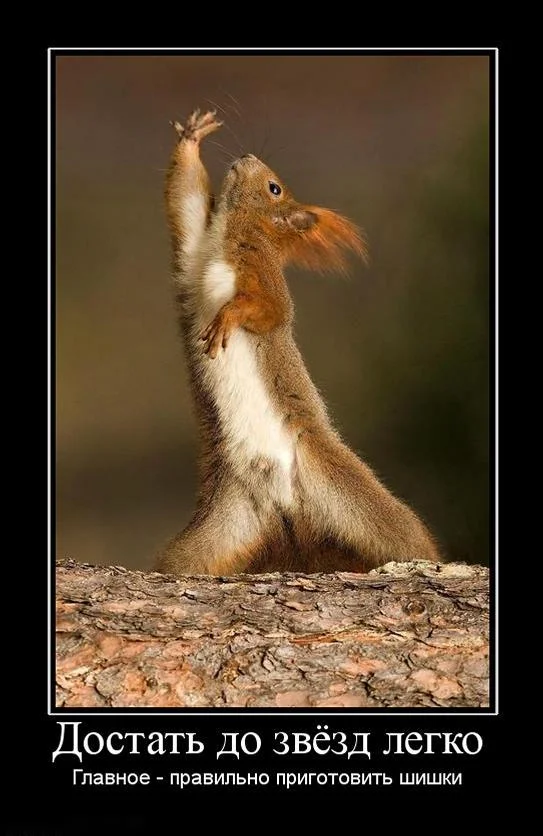 1286049855_dostat-do-zvyozd-legko.webp