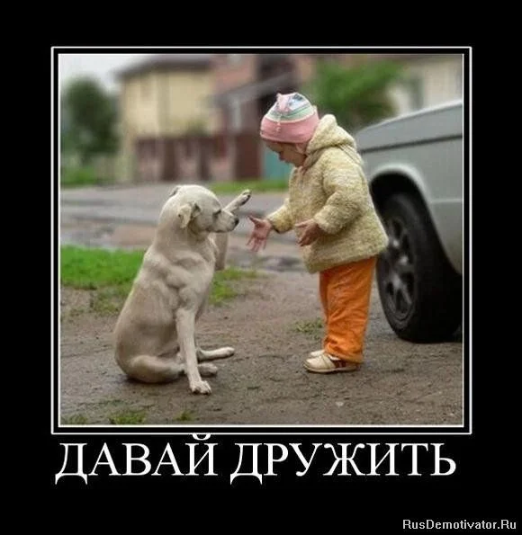1286616803_229294_davaj-druzhit.webp